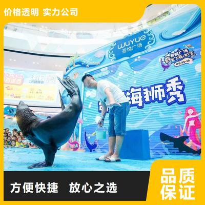 南安市分公司 專業(yè)出租表演鸚鵡，打造難忘動物展覽體驗
